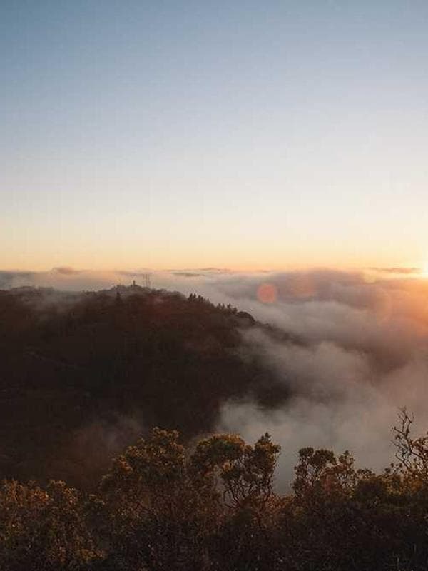 Futuristic cityscape at night with neon lights