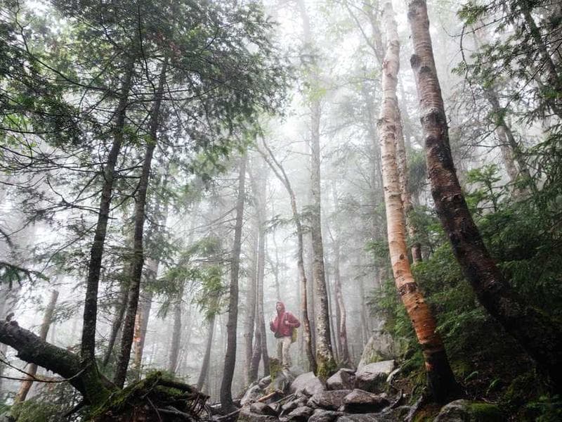 Serene mountain landscape with aurora borealis