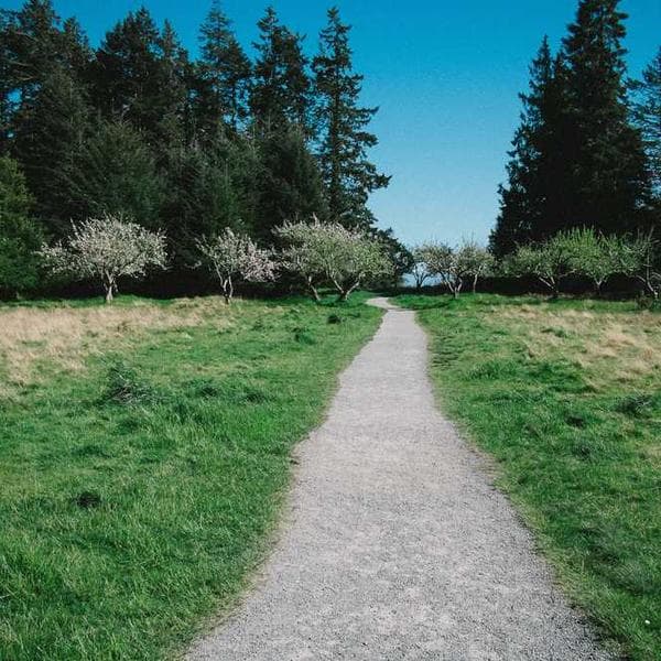 Abstract digital art with vibrant colors