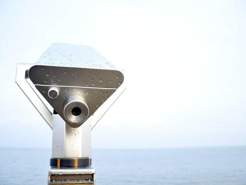 Mystical forest with glowing mushrooms